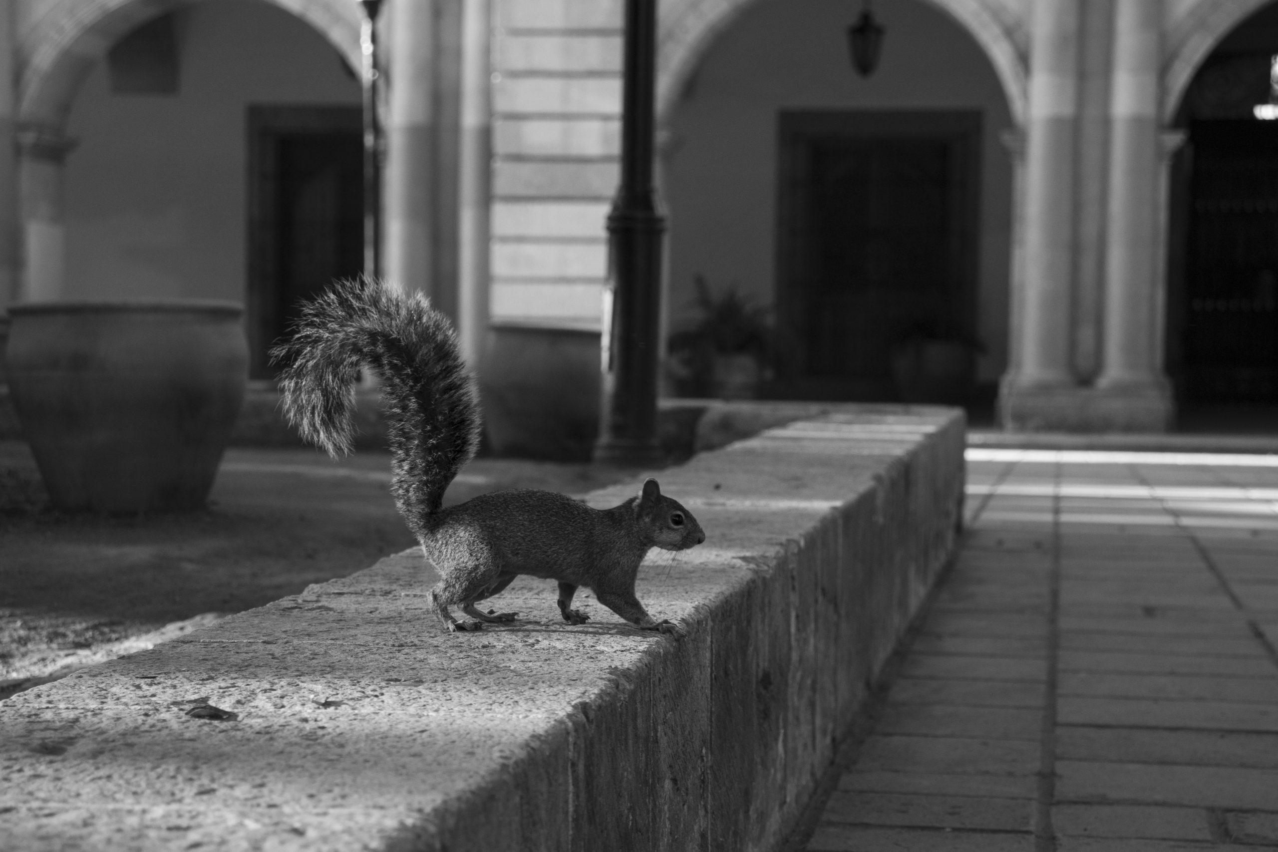 Daniel Vega Zarate_4A_Fotografía Documental_07_El despertar de un pueblo arruinado_La primera comida del dia_07