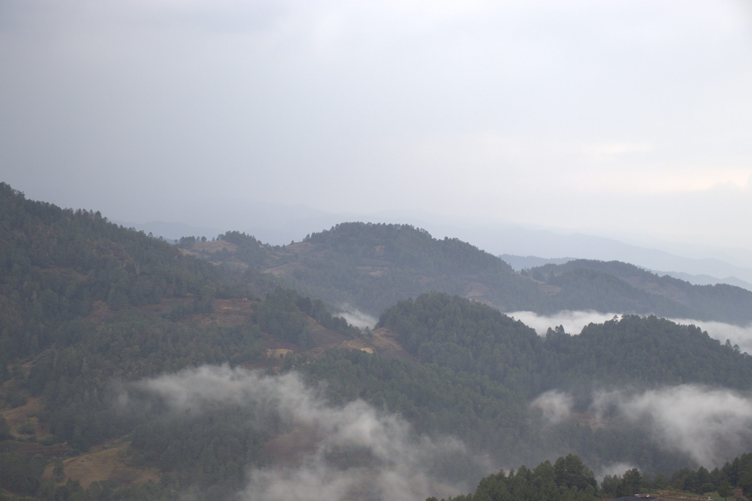 Daniel Vega Zarate_4A_Fotografía Paisaje y Naturaleza_10